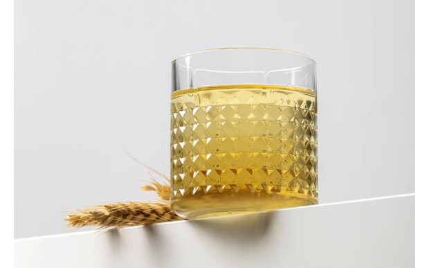 Teknik Penetrasi Sistem Informasi Berbasis Website